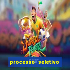 processo seletivo cerejeiras 2024